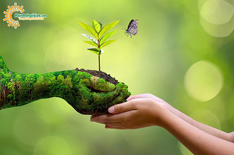 Tài nguyên đất nước ta
