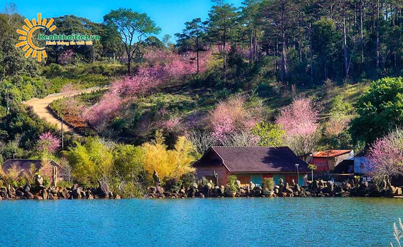 Khu du lịch Măng Đen Kon Tum
