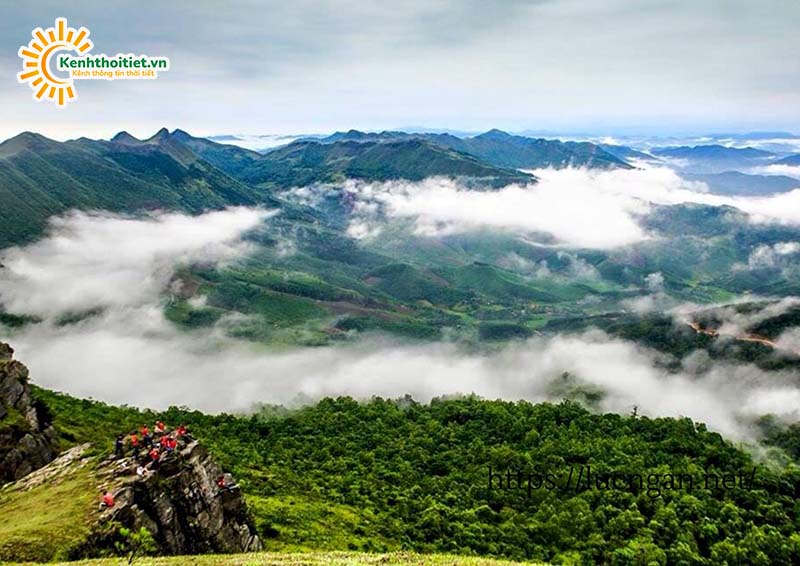 Tài nguyên rừng tại Bắc Giang phong phú