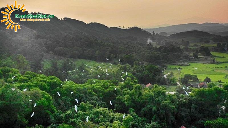 Tài nguyên thiên nhiên và Đặc điểm khí hậu Quảng Ninh